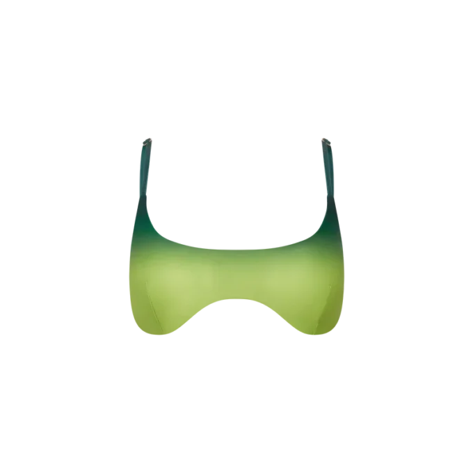 Gradient Bikini-BH