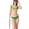 Gradient Bikini-BH